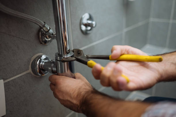 Best Clogged Drain Plumber  in Susanville, CA